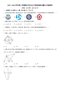 山东省临沂市罗庄区2023-2024学年九年级上册期中数学试题（含解析）