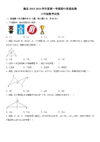 河北省邯郸市魏县2023-2024学年八年级上册期中数学试题（含解析）