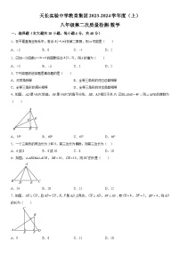 安徽省滁州市天长市2023-2024学年八年级上册期中联考数学试题（含解析）