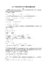 2017年贵州省毕节市中考数学试题及答案