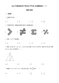 2022年陕西省联考初中学业水平考试全真模拟卷（一）数学试题