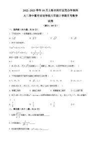 2022~2023学年上海市闵行区民办华东师大二附中紫竹双语学校八年级上学期月考数学试题