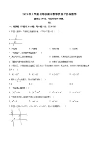 2022-2023浙江省金华市义乌市七年级下学期期末数学试题