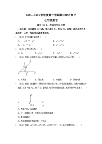 广东省河源市东源县2022-2023学年下学期七年级期中数学试卷