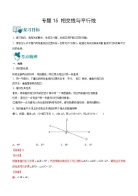 中考数学一轮复习专题15 相交线与平行线-知识点梳理讲义（2份打包，原卷版+教师版）