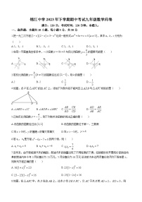 湖南省怀化市麻阳苗族自治县锦江中学2023-2024学年九年级上学期期中数学试题