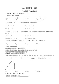 上海市徐汇区部分学校2023-2024学年八年级上学期月考数学试题(无答案)