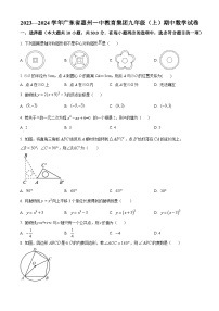 广东省惠州一中教育集团2023---2024学年九年级上学期期中数学试卷