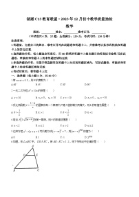 湖南省湖湘 C13 教育联盟2023-2024学年九年级上学期月考数学试题