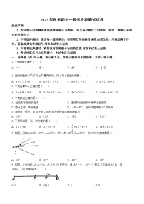 甘肃省张掖市甘州区张掖育才中学2023-2024学年七年级上学期12月月考数学试题(无答案)