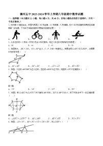 山东省德州市德城区第五中学2023-2024学年八年级上学期期中数学试题