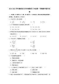 2023-2024学年湖南省永州市零陵区八年级（上）期中数学试卷（含解析）