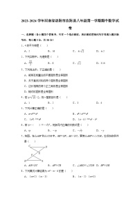 2023-2024学年河南省洛阳市汝阳县八年级（上）期中数学试卷（含解析）