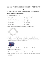 2023-2024学年四川省绵阳市江油市八年级（上）期中数学试卷（含解析）