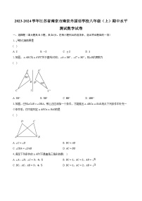 2023-2024学年江苏省南京市南京外国语学校八年级（上）期中水平测试数学试卷（含解析）