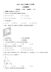 辽宁省鞍山市岫岩满族自治县2023-2024学年八年级上册12月月考数学试题（含解析）
