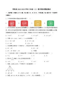 山西省晋中市寿阳县2022-2023学年八年级上学期期末模拟测试数学试卷（含解析）