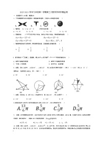 河南省洛阳市老城区洛阳市第二外国语学校2023-2024学年九年级上学期12月月考数学试题