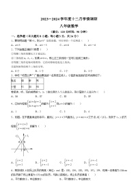 山东省青岛市市北区青岛格兰德中学2023-2024学年八年级上学期12月月考数学试题(无答案)