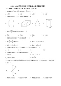 江苏省南通海安市2023-2024学年七年级上学期期末数学模拟试题