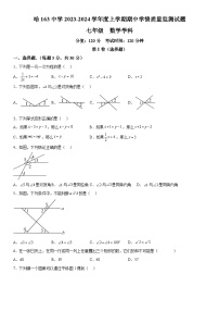 黑龙江省哈尔滨市第一六三中学校2023-2024学年七年级上册期中数学试题（五四制）（含解析）