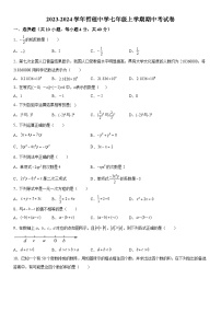 福建省莆田哲理中学2023-2024学年七年级上册期中数学试题（含解析）