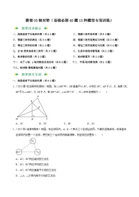 猜想03轴对称（易错必刷40题13种题型专项训练）-2023-2024学年八年级数学上学期期末考点预测（人教版）