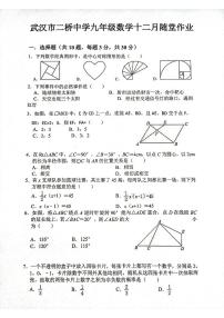 湖北省武汉市二桥中学2023-2024学年 上学期12月九年级数学试题