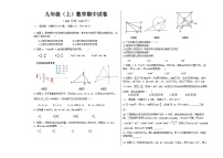 山东省菏泽市巨野县2023-2024学年九年级上学期期中考试数学试题