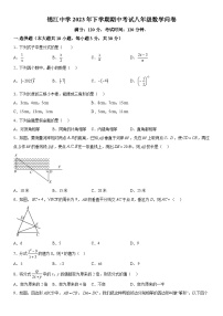 湖南省麻阳苗族自治县锦江中学2023-2024学年八年级上册期中数学试题（含解析）