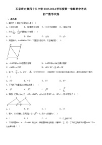 河北省石家庄市栾城区石家庄市第四十八中学2023-2024学年八年级上册期中数学试题（含解析）