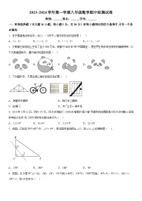 广东省肇庆市端州区颂德学校2023-2024学年八年级上册期中数学试题（含解析）