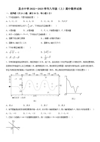 广东省茂名市化州市圣古中学2022-2023学年八年级上册期中数学试题（含解析）