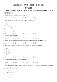 浙江省绍兴市新昌县南瑞实验学校2023-2024学年九年级上册期中数学试题（含解析）