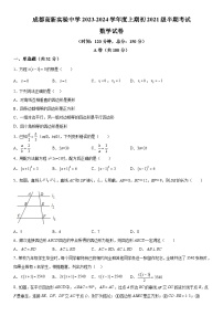 四川省成都市成都高新实验中学2023-2024学年九年级上册期中数学试题（含解析）