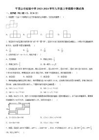 河南省平顶山市新华区实验中学2023-2024学年九年级上册期中数学试题（含解析）