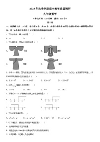 广西壮族自治区南宁市金凯初级中学2023-2024学年九年级上册期中数学试题（含解析）