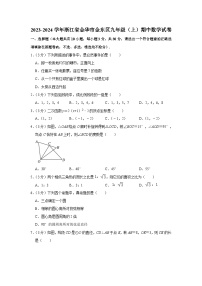 浙江省金华市金东区2023-2024学年九年级上学期期中数学试卷