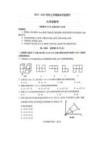 辽宁省沈阳市浑南区2023-2024学年九年级上学期期末数学试题