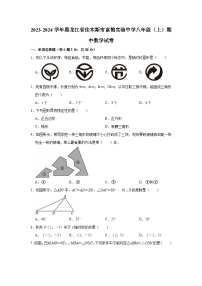 2023-2024学年黑龙江省佳木斯市富锦实验中学八年级（上）期中数学试卷