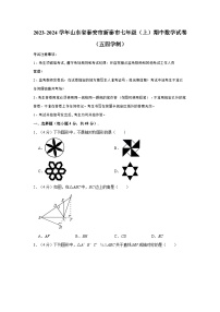 2023-2024学年山东省泰安市新泰市七年级（上）期中数学试卷（五四学制）