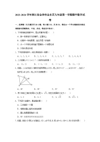 2023-2024学年浙江省金华市金东区九年级（上）期中数学试卷（含解析）