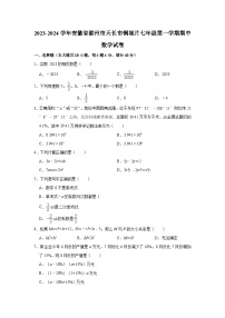 2023-2024学年安徽省滁州市天长市铜城片七年级（上）期中数学试卷（含解析）