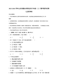 2023-2024学年山东省烟台市招远市六年级（上）期中数学试卷（五四学制）