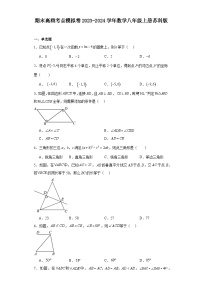 期末高频考点模拟卷2023-2024学年数学苏科版八年级上册