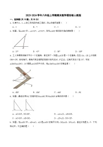 2023-2024学年八年级上学期期末数学模拟卷人教版