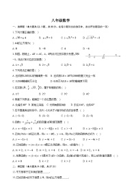 江苏省徐州市丰县欢口镇欢口初级中学2023-2024学年八年级上学期第二次阶段检测数学试题