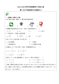 江苏省南京市2023—2024学年苏科版数学八年级上册第二次月考基础复习巩固练习3