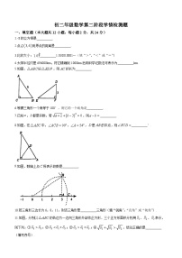 江苏省镇江市丹阳市第八中学2023-2024学年八年级上学期12月月考数学试题(无答案)