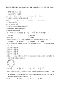 广东省深圳市深圳外国语学校学校2023-2024学年上学期九年级第3次月考数学试卷（12月）